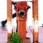 a fire hydrant with a plant growing out of it