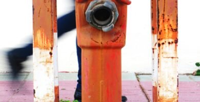 a fire hydrant with a plant growing out of it