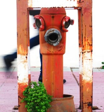 a fire hydrant with a plant growing out of it